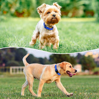 Reflective Dog Collar, Adjustable Nylon for Medium Dogs - Blue / L:width 1"neck 17.5-27" - image 2