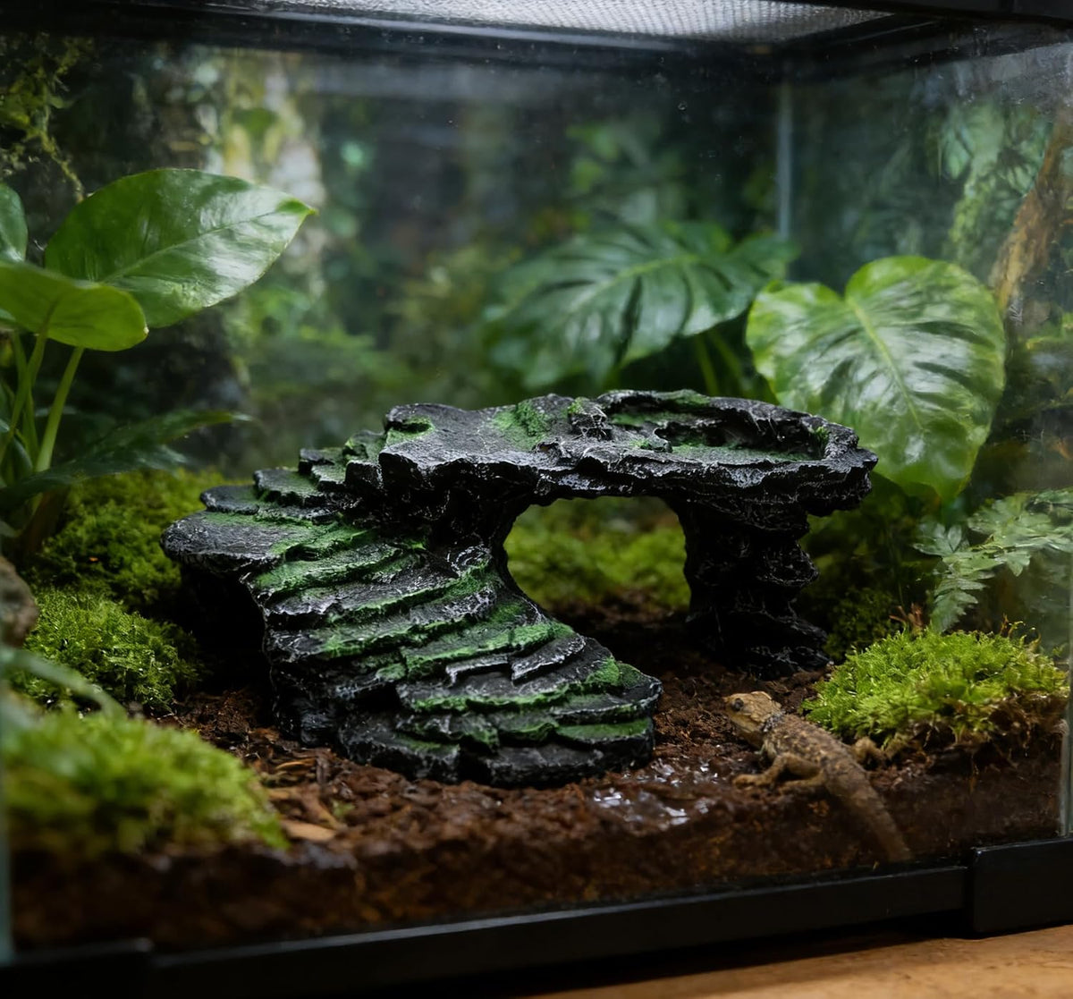 M2cbridge Reptile Hide Resting Step Ledge Cave Hideout Turtle Basking - Black Step Ledge - image 2