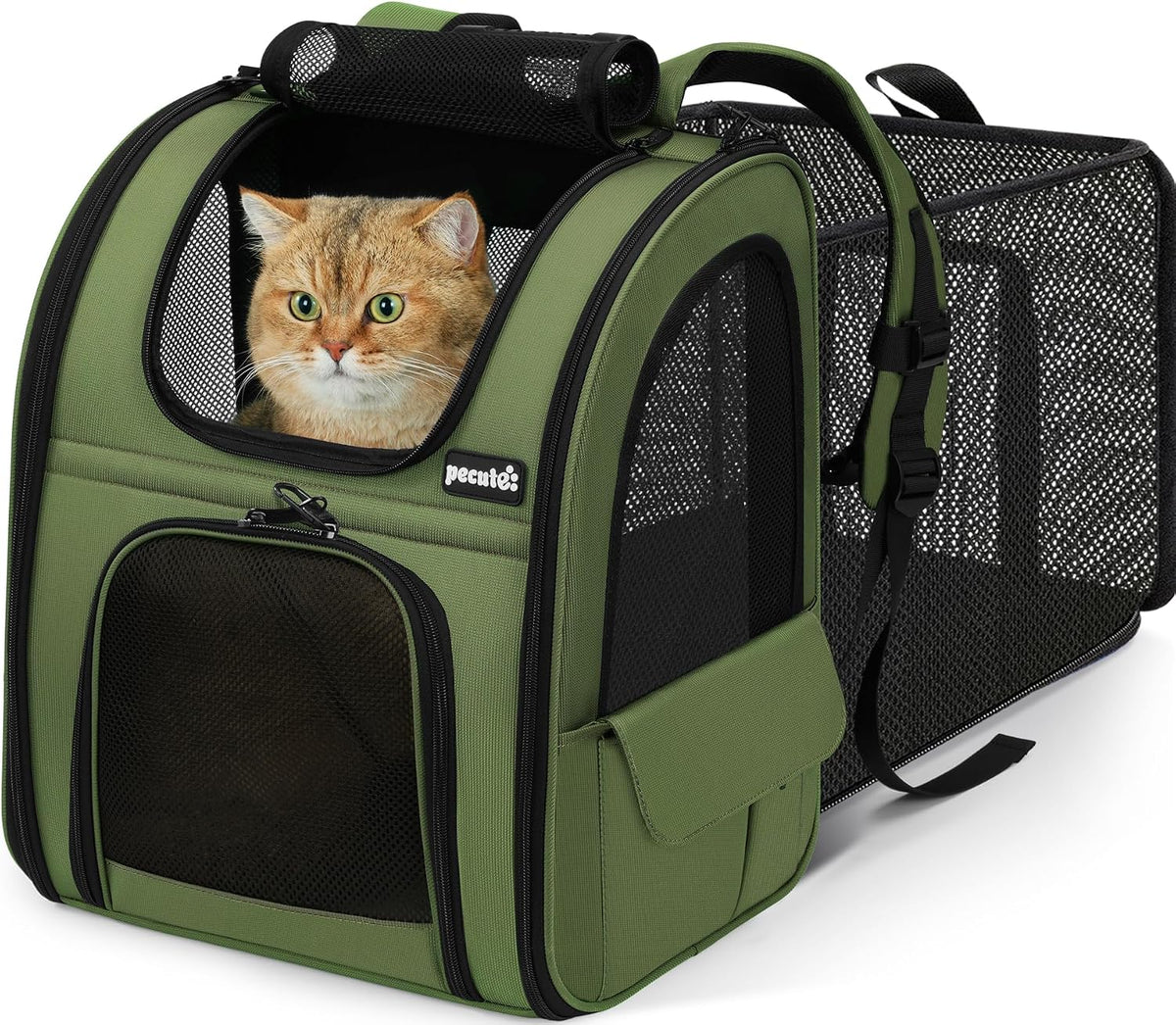pecute Cat Backpack Expandable - Geen / 12.6"L x 10.2"W x 16.5"H / Mesh Window