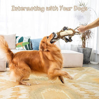 Squeaky Dog Toys, Interactive Tug of War Puppy Toys, Funny Plush Dog Chew Toys, Stuffed Dog Toys for Small,Medium and Large Dogs - Lion