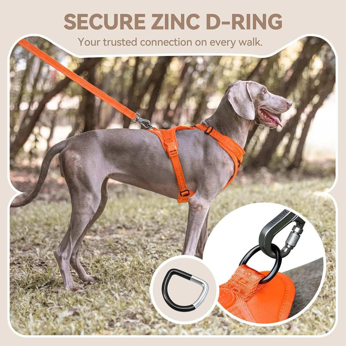 Sunraymascota Dog Harness - S (Neck: 12-22", Chest: 16-25") / Orange - image 4