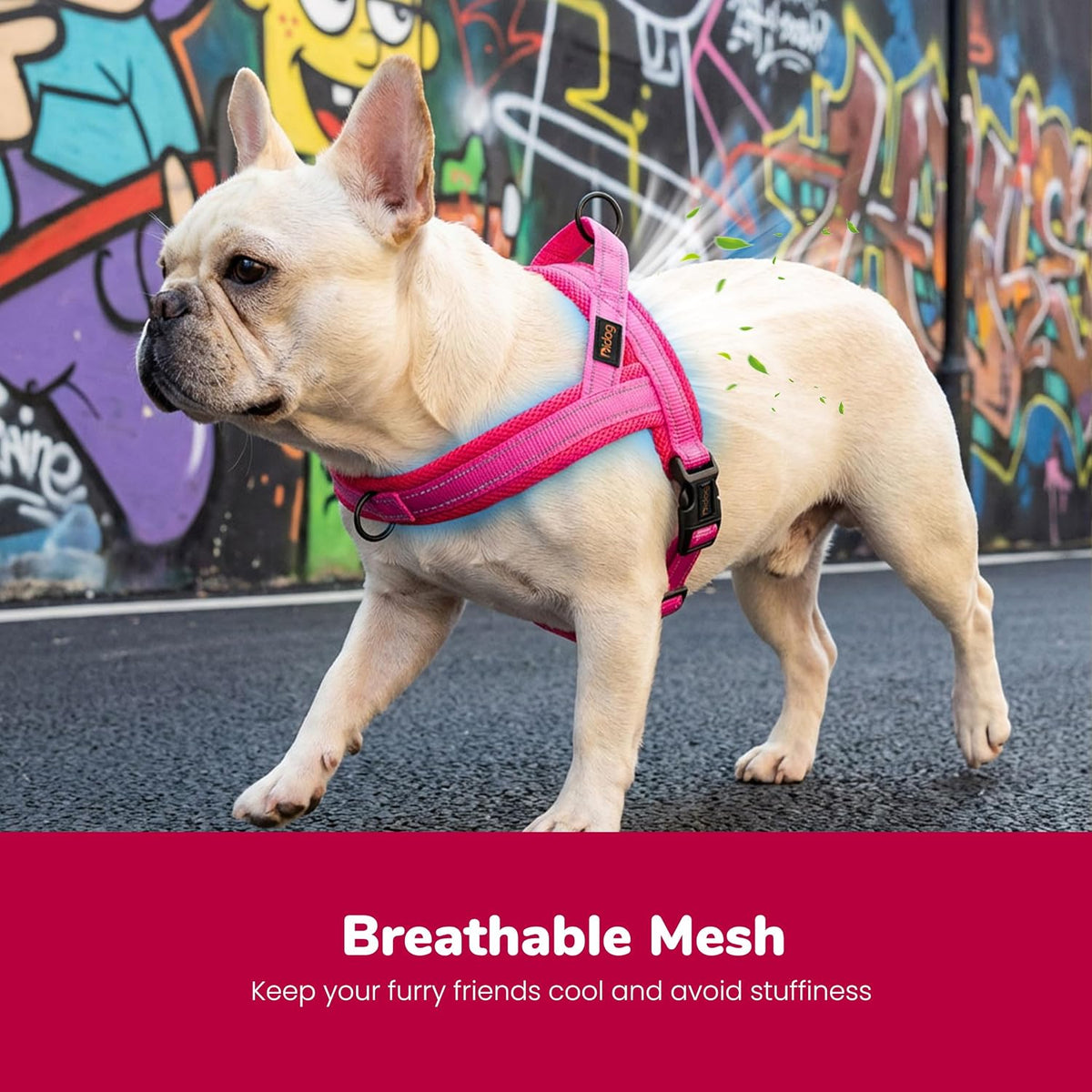 Didog No Pull Dog Harness for Large Dogs, Breathable Mesh Padded - Hot Pink / S: Chest 19-23", Fit 19-29 lbs - image 2