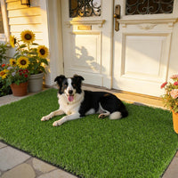 HEBE Fake Grass Turf Rug 20''x30'' - 35"x59"