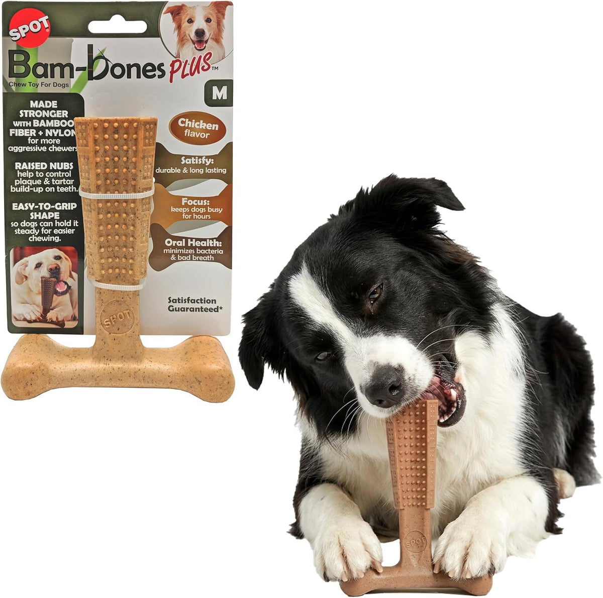 SPOT Bam-Bones Plus T-Bone Dog Chew - Chicken / Medium