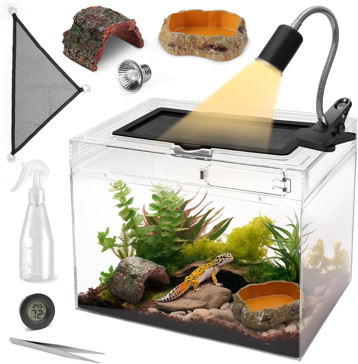 AZV Reptile Terrarium Starter Kit - Large(15.6*10*8IN)