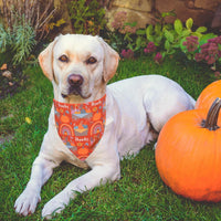 ADOGGYGO Pink Halloween Dog Bandanas Girl - X-Large / Thanksgiving - image 2