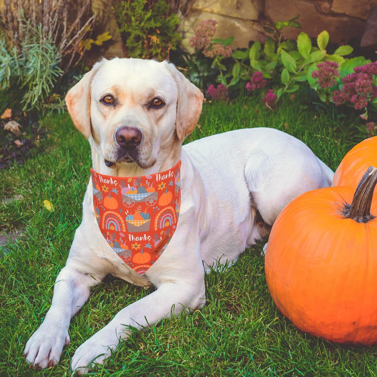 ADOGGYGO Pink Halloween Dog Bandanas Girl - X-Large / Thanksgiving - image 2