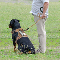 Beebiepet Tactical No Pull Dog Harness with Leash - Brown / Large - image 3