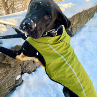 Mile High Life Dog Raincoat - L Chest 32"-40" / Lime Yellow - image 4