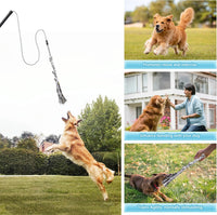 Flirt Pole for Small Medium Dogs - image 3