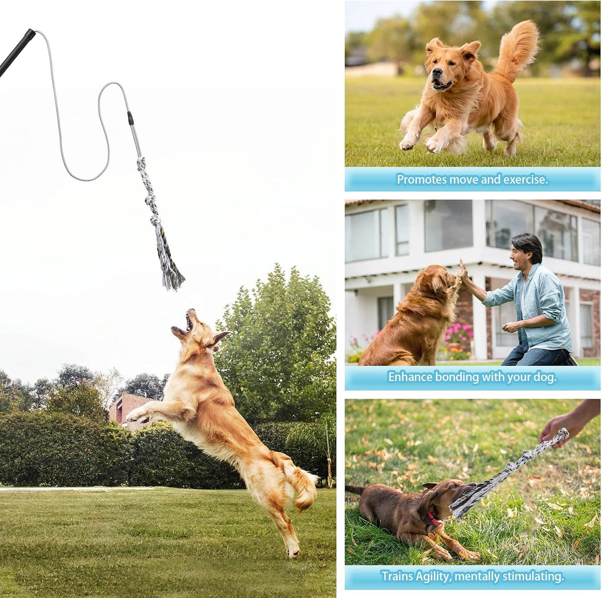 Flirt Pole for Small Medium Dogs - image 3
