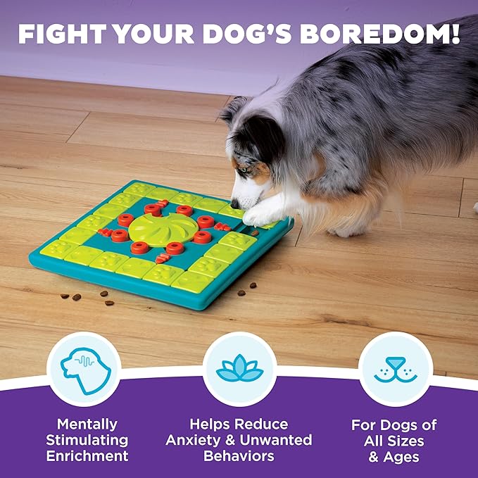 Outward Hound by Nina Ottosson Multipuzzle Level 4 Expert Dog Treat Puzzle for Enrichment, Blue