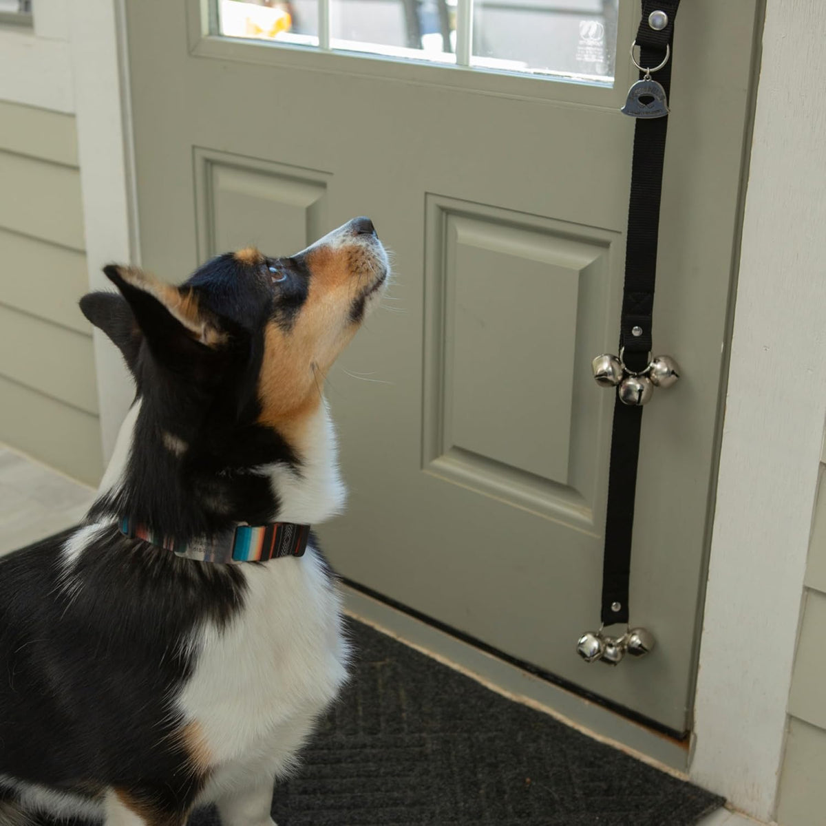 Caldwell's Pet Supply Co. Dog Potty Bells, Dog Door Bell - Set of 2 Potty Bells / Black - image 3