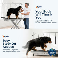 Professional Electric Dog Grooming Table, Heavy Duty - STAINLESS STEEL / 49" - image 2