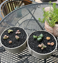 TOYPOPOR 6lb Succulents and Cactus Black Sand, Décor & Additive Tiny Stones, DIY Rocks Gravel, Decorative Pebbles for Bonsai, Fairy Gardening, Terrarium, Vases Fillers, Top Dressing