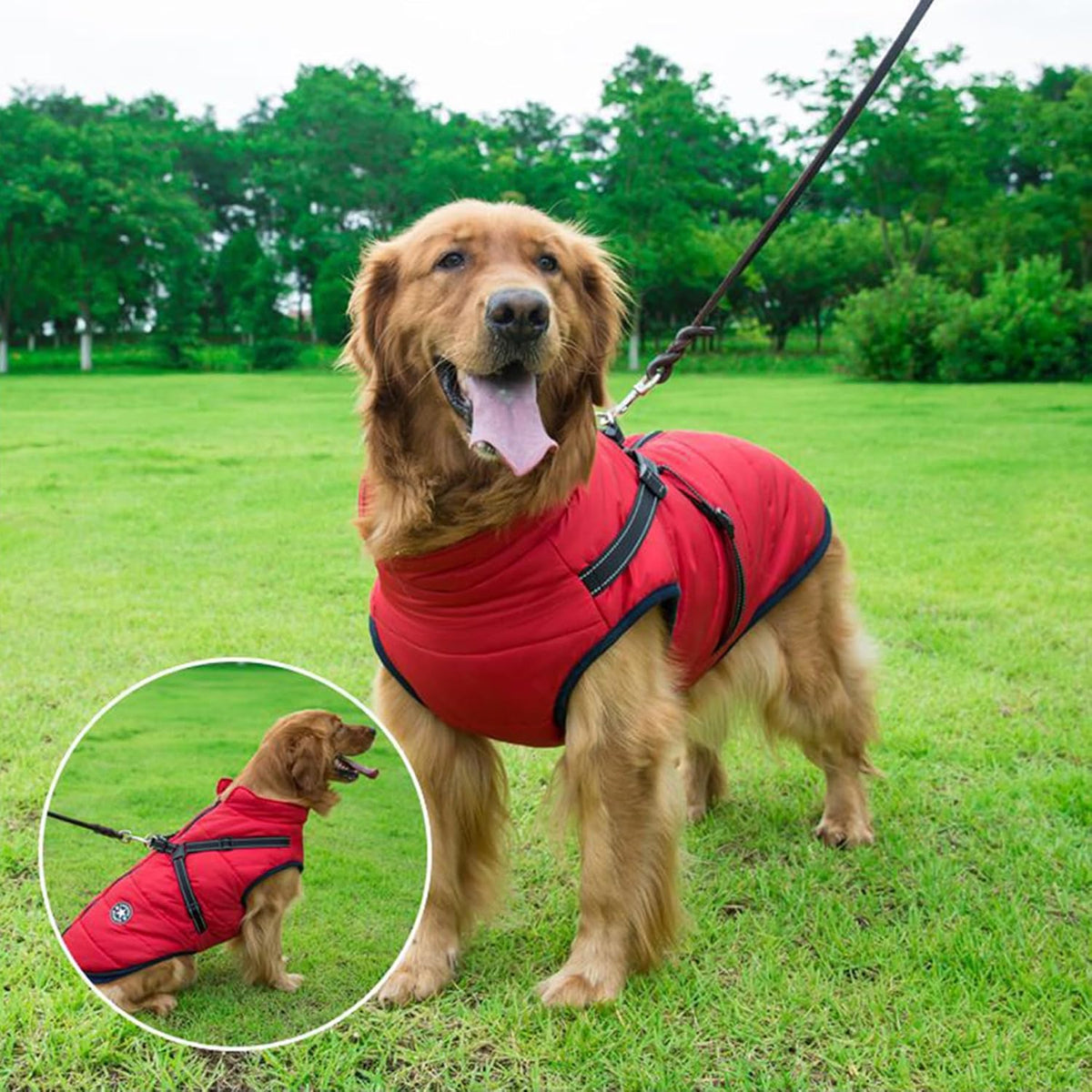 Aiboria Dog Jackets Coat for Winter Windproof Waterproof Skiing Dog - Red / Small - image 4