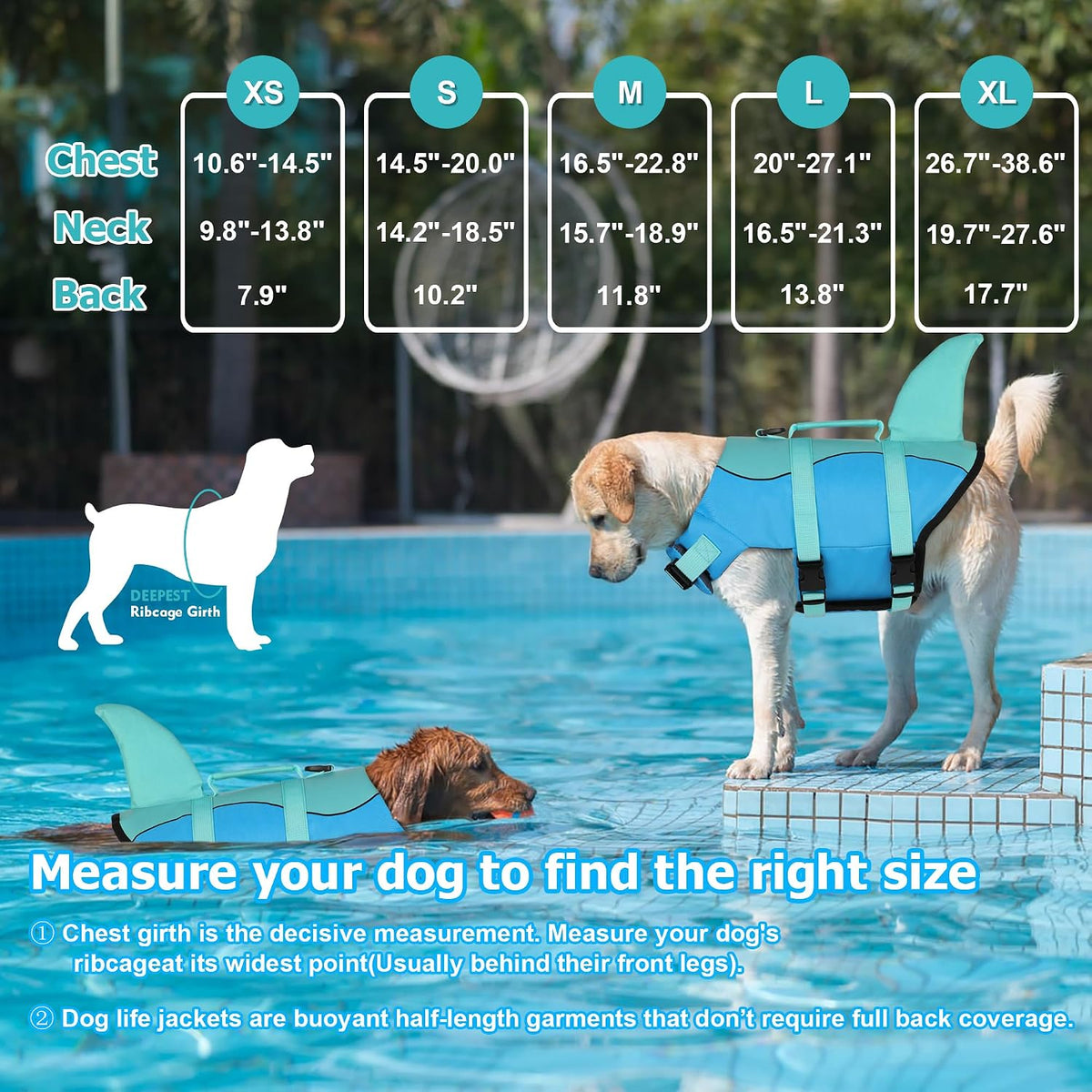 Dogcheer Dog Life Jacket, Cute Shark Dog Life Vest for Swimming Boating with Superior Buoyancy - Pool Blue / Large - image 2
