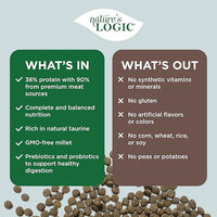 NATURE'S LOGIC Dry Dog Food - 100% Natural - No Synthetics - for All Ages, Sizes, Breeds - Free from Common Allergens, High Protein - Pork Meal Feast, 13lbs