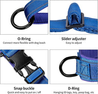 Annchwool No Pull Dog Harness with Soft Padded Handle - M / Blue Set - image 3