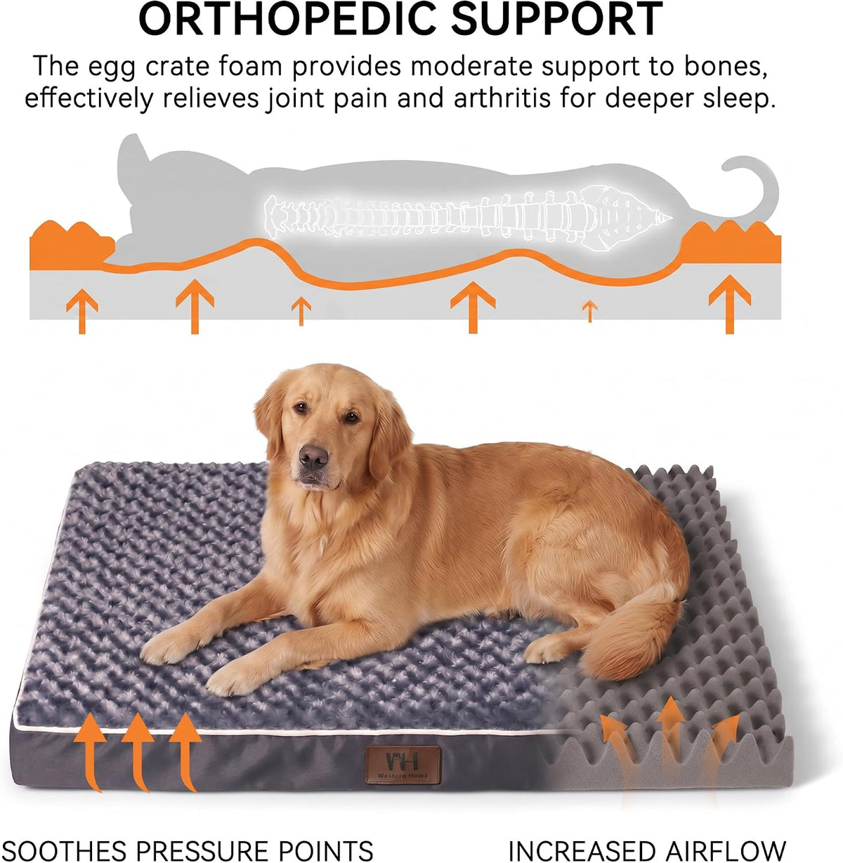 Orthopedic Dog Beds Large Sized Dog Washable Pet Bed - Grey / 36" x 27" x 3" - image 3