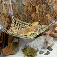 Niteangel Bearded Dragon Seagrass Hammock: Triangle 17'' x 12.5'' – Essentials for Reptiles And Amphibians - Triangle 17'' x 12.5'' - image 3