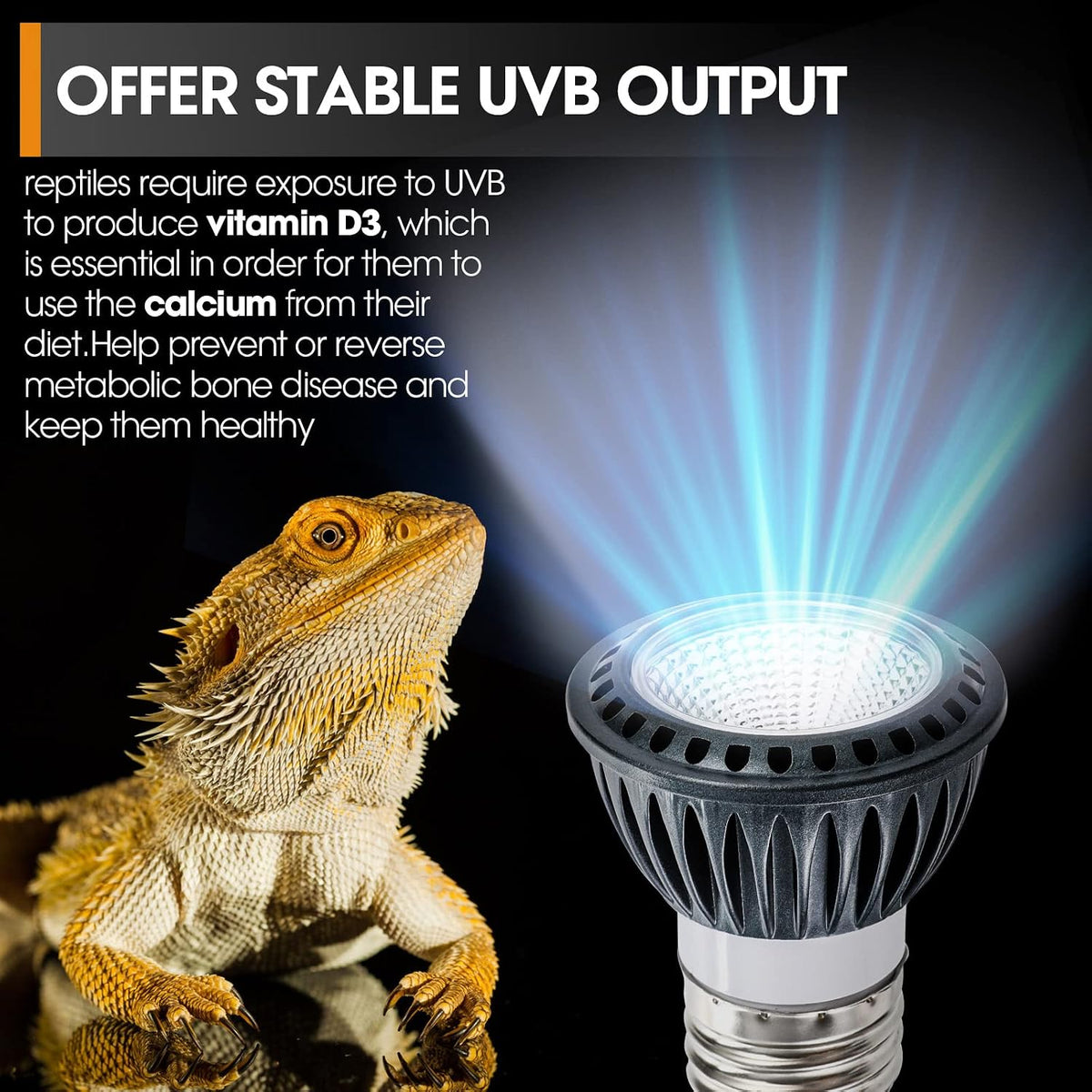 5 watt UVB LED reptile light bulb with E26 socket for desert-dwelling reptiles - view 2