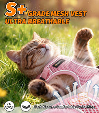 Cat Harness and Leash for Walking - Pink / S (7-12lb) - image 3