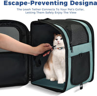 Apollo Walker Cat Backpack Carrier, Support Frame - Blue / Medium-Standard - image 3