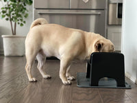 Fluff Trough Elevated Dog Bowl for Food - Small to Medium / Black - image 2