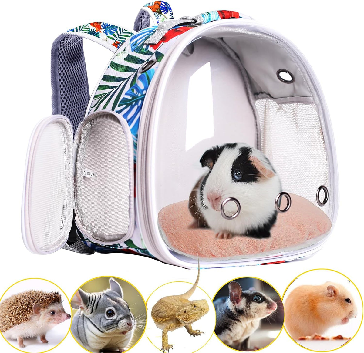 Bearded Dragon Travel Carrier, Lizards Carrier - Multicolor / Backpack