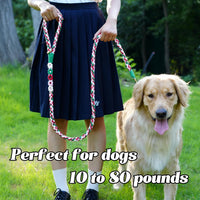5FT Braided Cotton Rope Leash for Small, Medium and Large Dogs - Strawberry - image 2