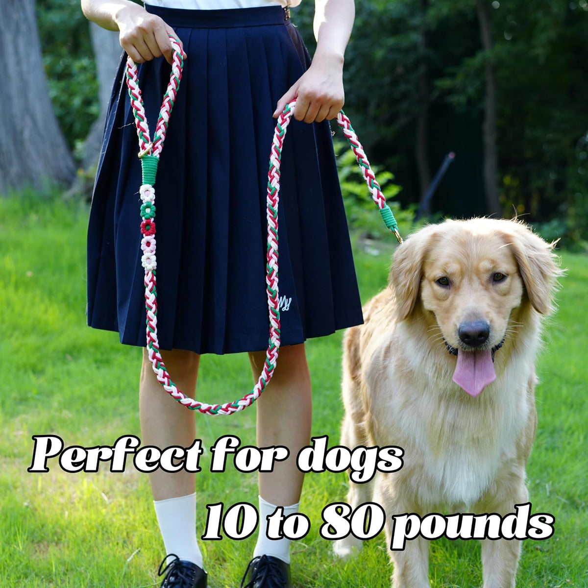 5FT Braided Cotton Rope Leash for Small, Medium and Large Dogs - Strawberry - image 2