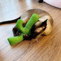 TTcat Catnip Silvervine Matatabi Pillow for Cats & Kittens,Large Cat Cactus Toy Cat Kicker Toy Chew Toy for Indoor Cats.