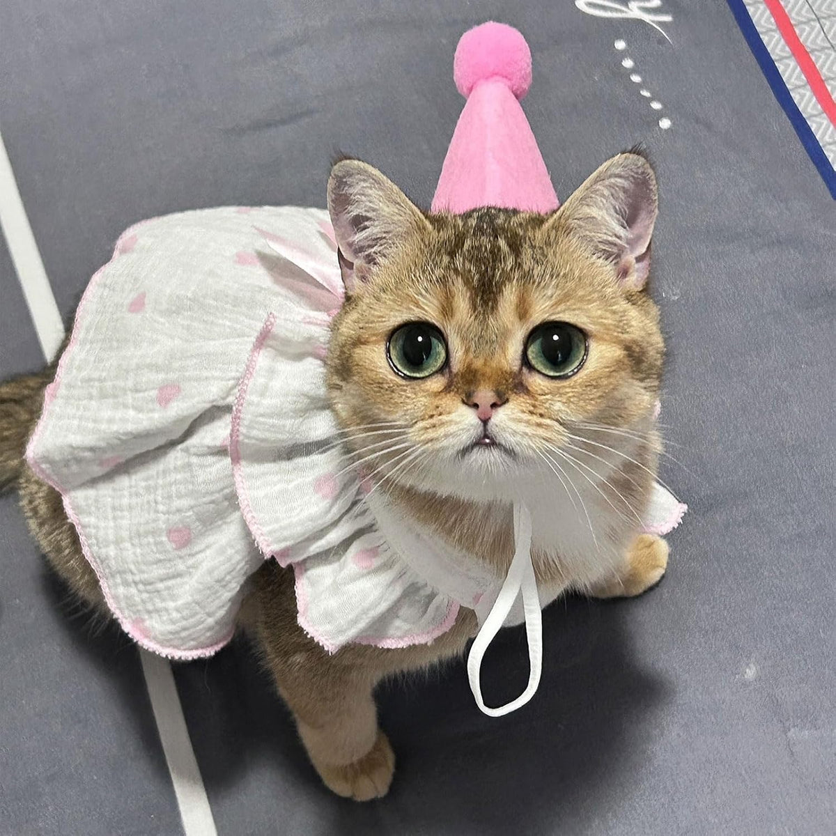 Dog Dresses for Small Dogs Girl Female Dog Cat Clothes Dress Cute - Light Pink / Large (suggest 8.5-13lbs) - image 2