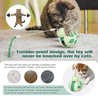 Cat Treat Interactive Toy, Indoor Puzzle Slow Feeding Mental Stimulation Sliding Rolling Cat Toy Ball with Cat Teaser, Cat Treat Dispenser Toy for Large, Medium and Small Cats (Green, ladybug)