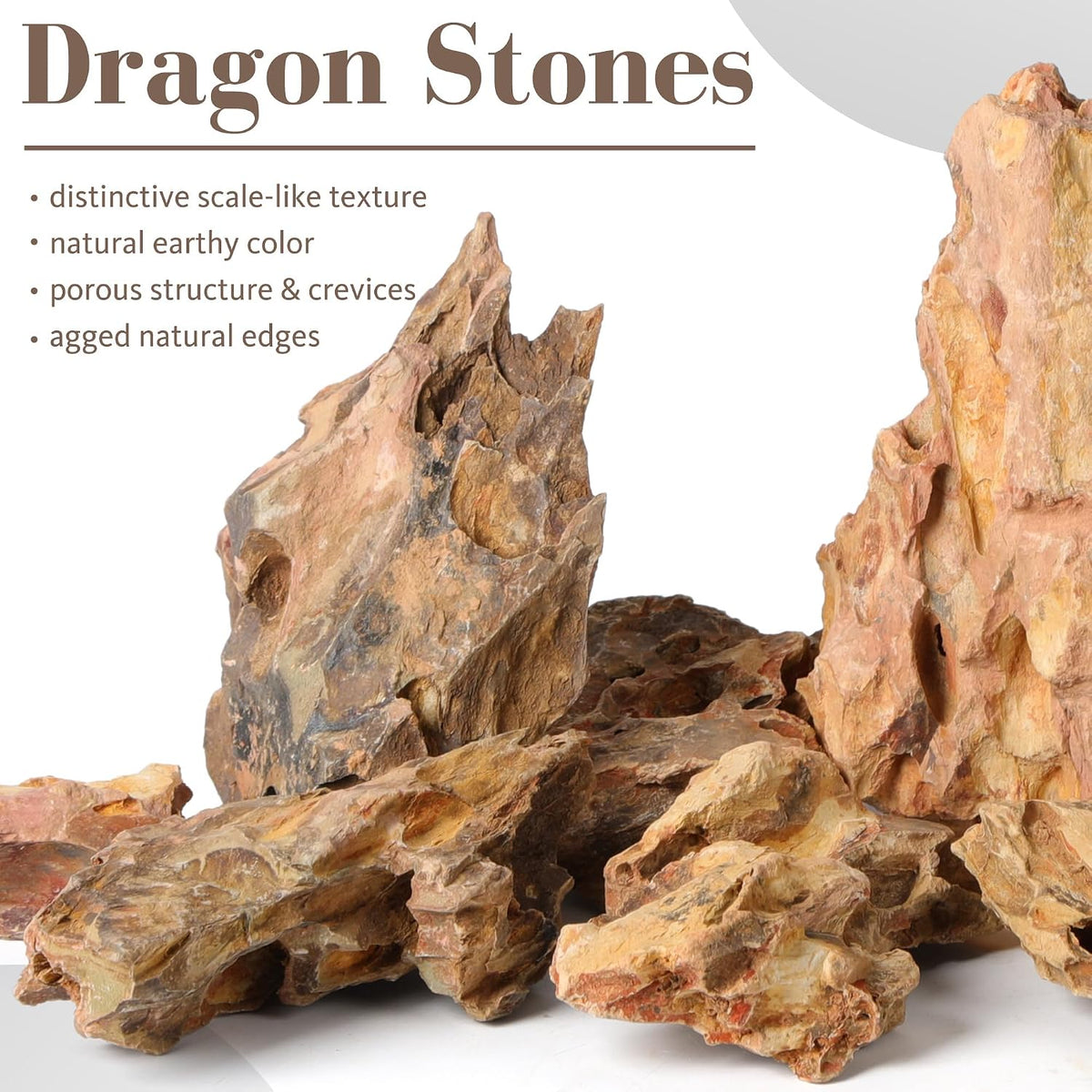 6.1-8.1 Inches Natural Dragon Stone, Terrariums - 2.2-4.1 in - image 2