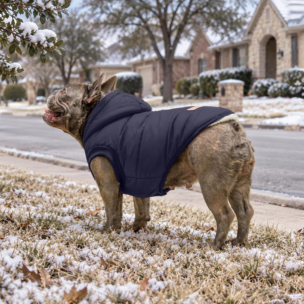 Vecomfy Warm Dog Coats with Hoodie - X-Large / Blue - image 3