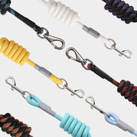 Mile High Life Dog Leash, with Padded Handle - Turquoise / 5 Feet - image 4