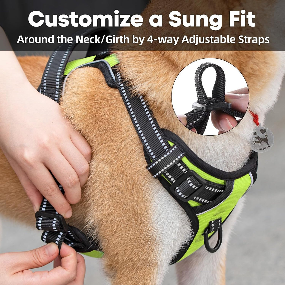 PoyPet No Pull Dog Harness Medium - Medium / Green - image 4