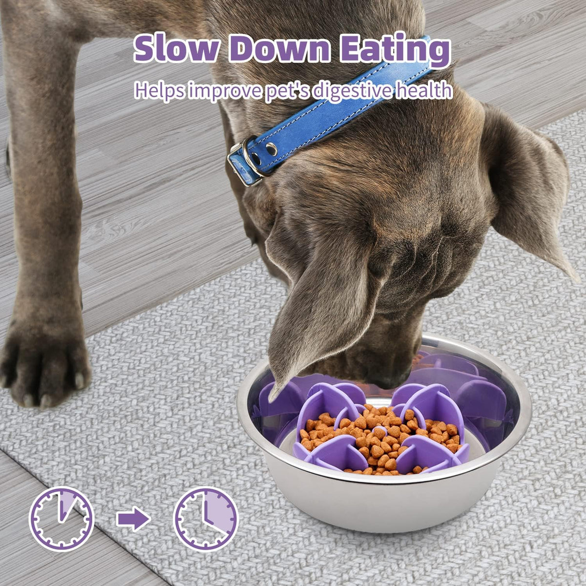 Jaoul Slow Feeder Dog Bowls Insert - Cuttable X-Large(7 inch) / Purple - image 2