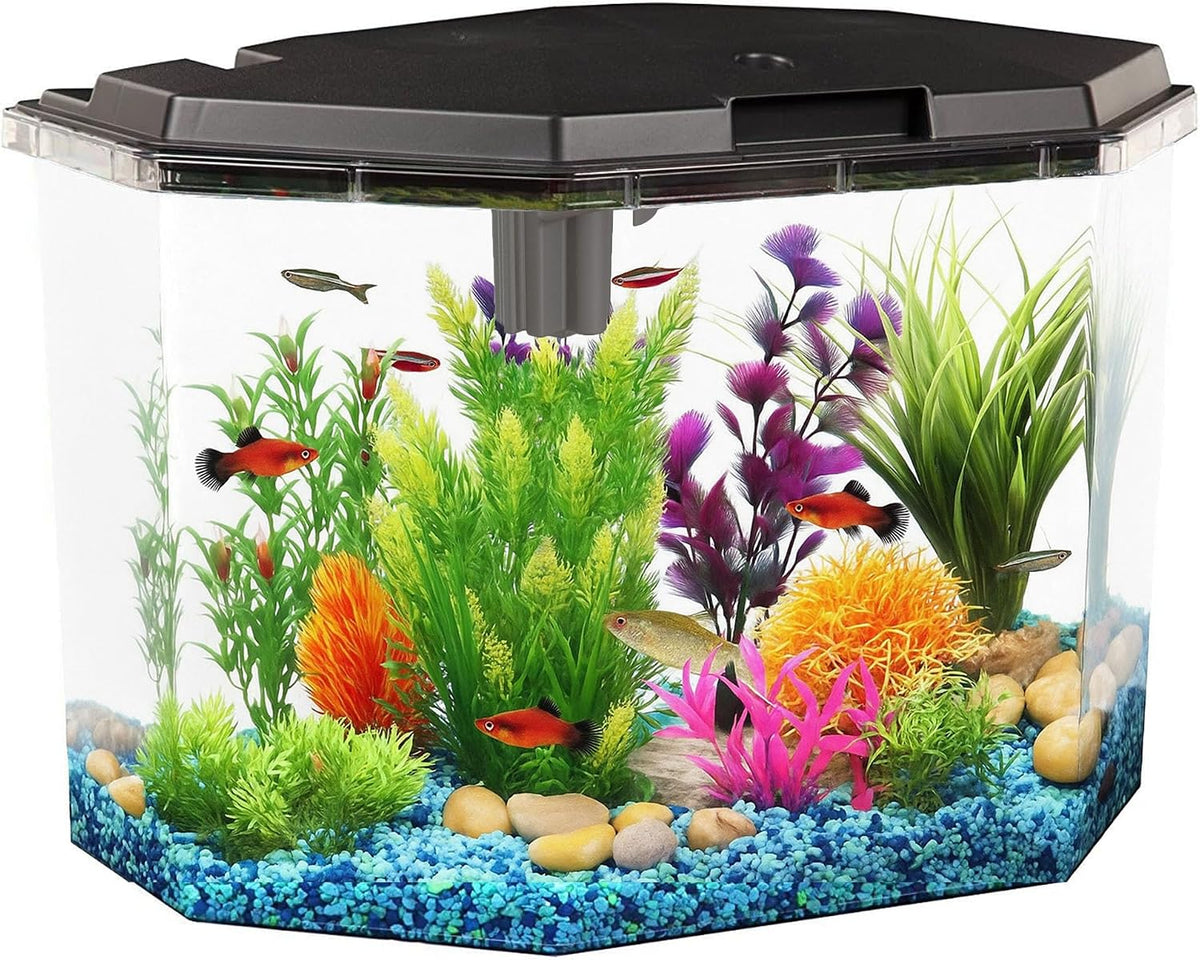Koller Products Plastic 3-Gallon Aquarium Starter Kit with 4 Colors - 6.5 gallon