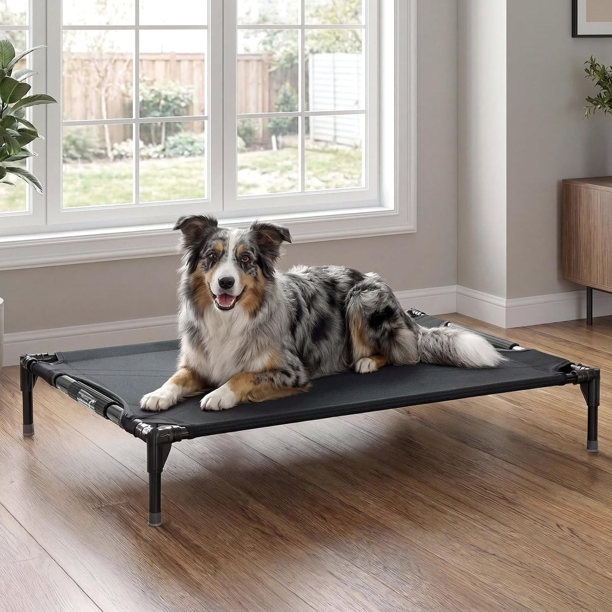 Petsfit 48 Inch Elevated Dog Bed for Large Dogs - M-42"