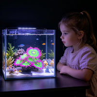 ZtohPyo Glow Fish Tank Decorations - Pink - image 2