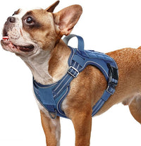 rabbitgoo Dog Harness Small Sized No Pull, Tactical Service Pet Vest with Molle and Control Handle, Adjustable and Reflective Military Harness for Easy Walking and Training, Blue, S