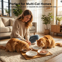 Non-Slip Cat Food Bowls, 6 Pack Whisker-Friendly Ceramic Bowls – Essentials for Cats - white - image 4