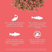 Go! Solutions Carnivore, Grain-Free, Protein Rich Dry Cat Food, Salmon and Cod Recipe, 3 lb Bag