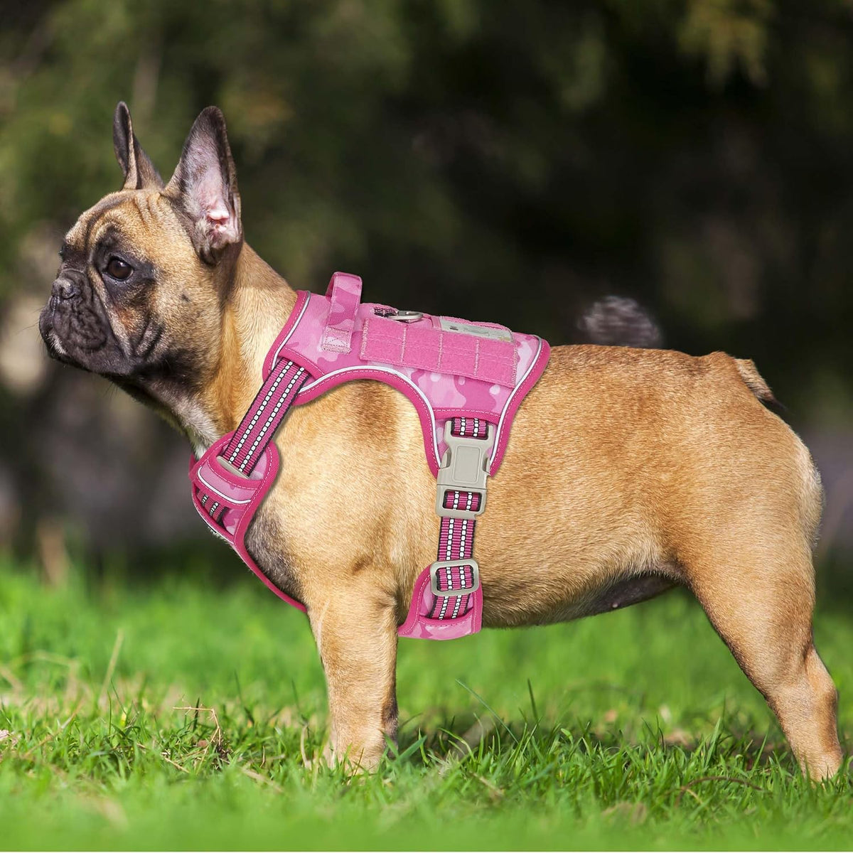 Beebiepet Tactical No Pull Dog Harness with Leash - Pink Camo / Small - image 2