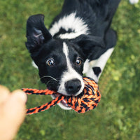 Dog Rope Toy for Large Dogs Heavy Duty Dog Chew Toys for Aggressive - 9 Packs / Large - image 4