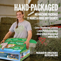 Small Pet Select 2nd Cutting Perfect Blend Timothy Hay Pet Food for Rabbits, Guinea Pigs, Chinchillas and Other Small Animals, Premium Natural Hay Grown in The US, 10 LB