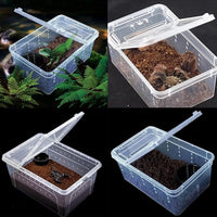 Critter Keeper 2-Pack, Cricket Cage & Reptile Feeding Box 12.59"x8.66"x5.9" Transparent Portable Plastic Snake Habitat Escape-Proof Ventilated Design for Gecko, Tarantula, Scorpion, Spider, Frog